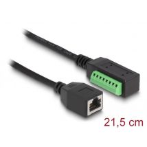 Delock RJ45 kaapeli Cat.5e naarasliitin liitinadapteriin 21,5 cm