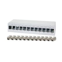 Keystone kytkentäpaneeli, mukana 12 kpl Cat.6A Keystone-moduulia